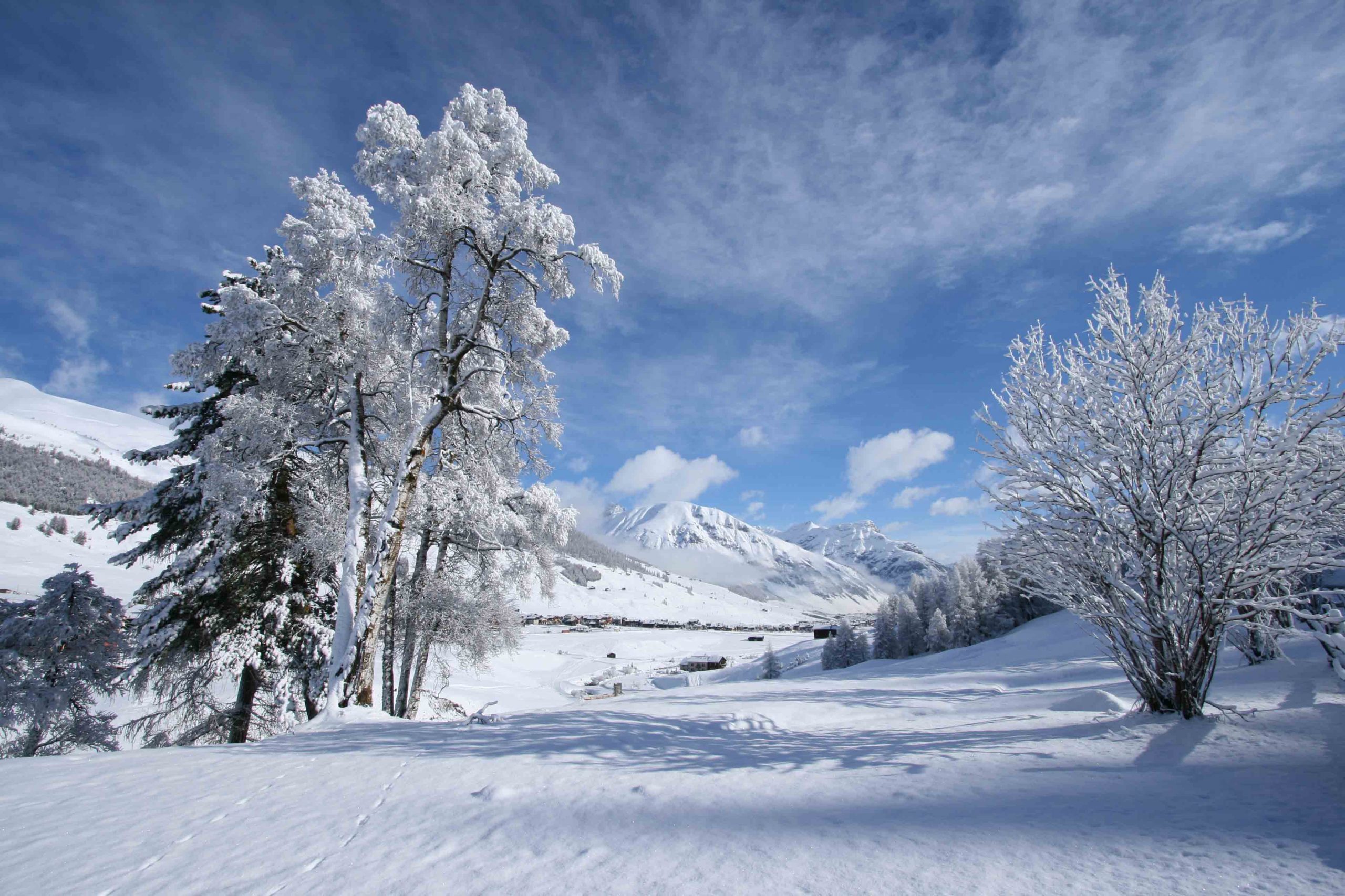 INVERNO IN MONTAGNA