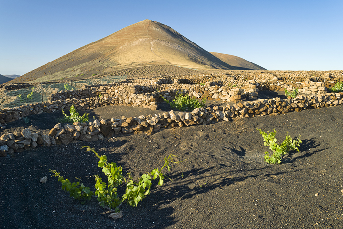 tramonti alle Canarie