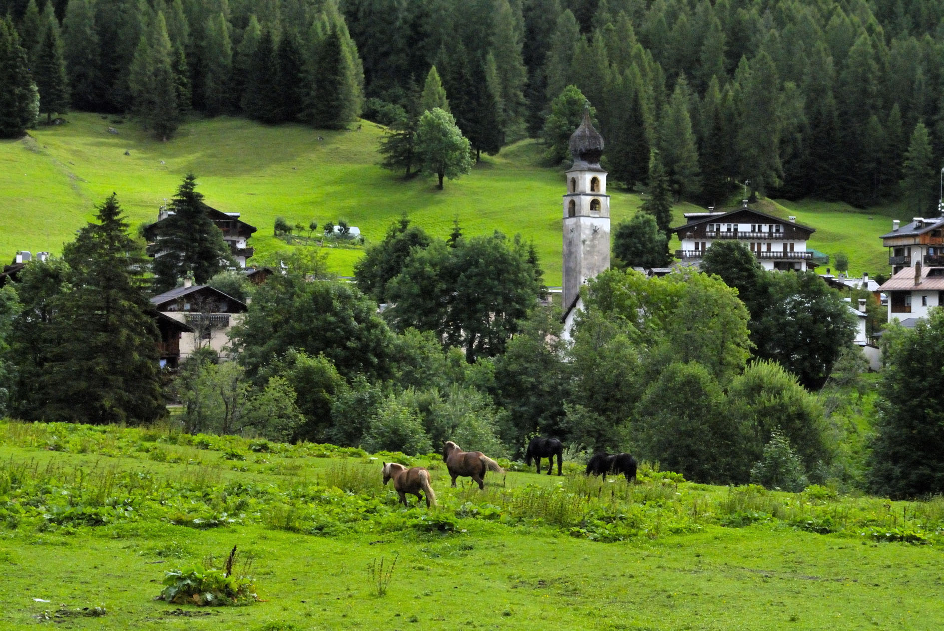 COSA FARE IN VAL DI ZOLDO