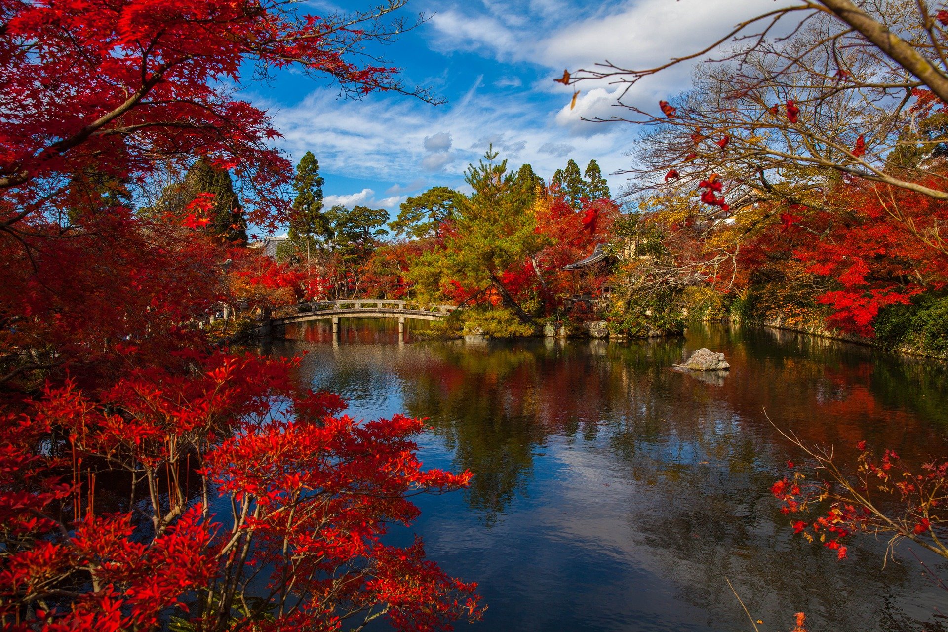 FOLIAGE E NATURA IN AUTUNNO