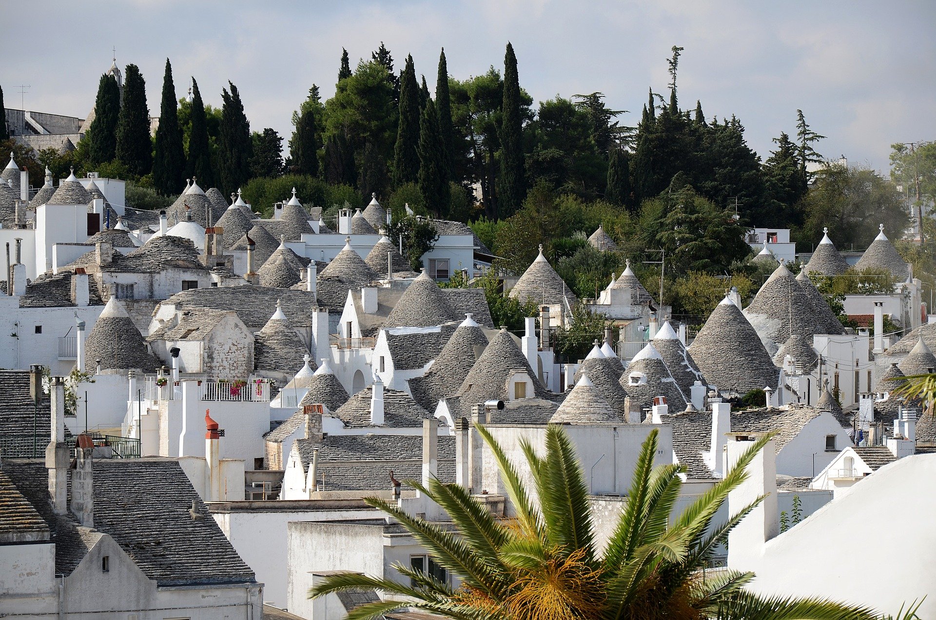 ALBEROBELLO COSA VEDERE