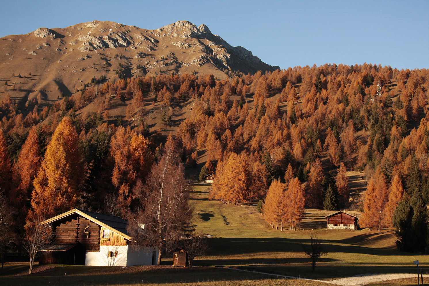 AUTUNNO IN VAL DI FIEMME