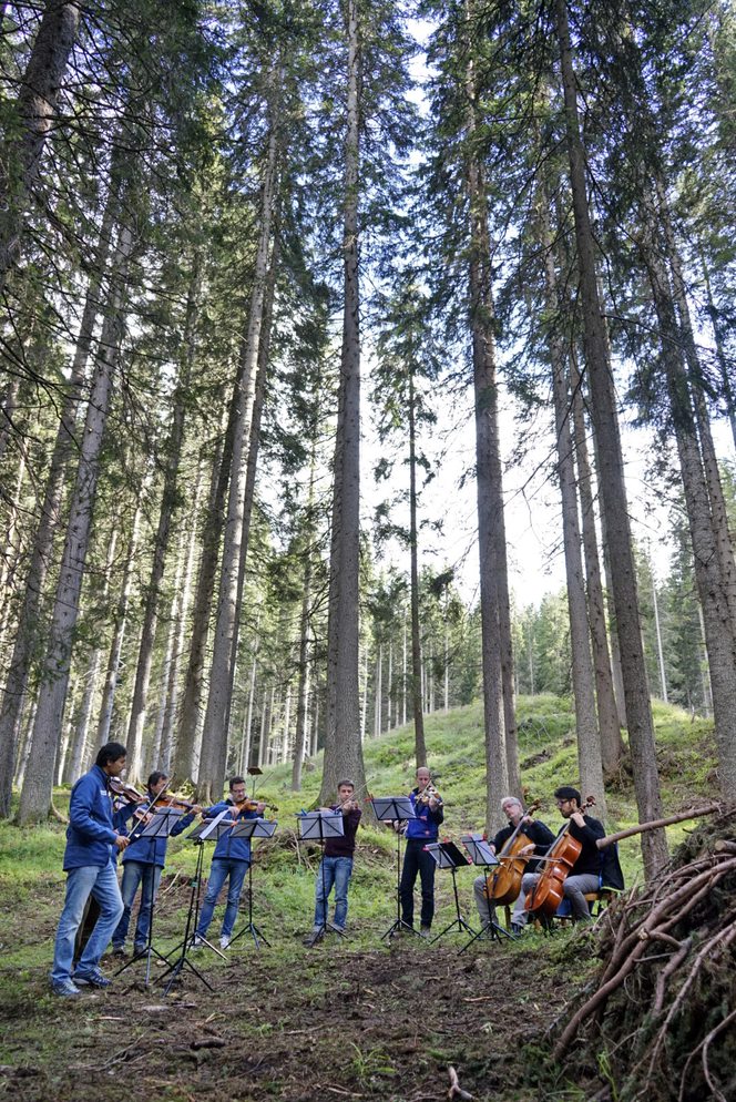 AUTUNNO IN VAL DI FIEMME