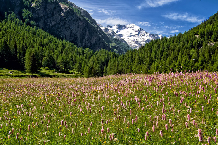 castelli in Valle d'Aosta