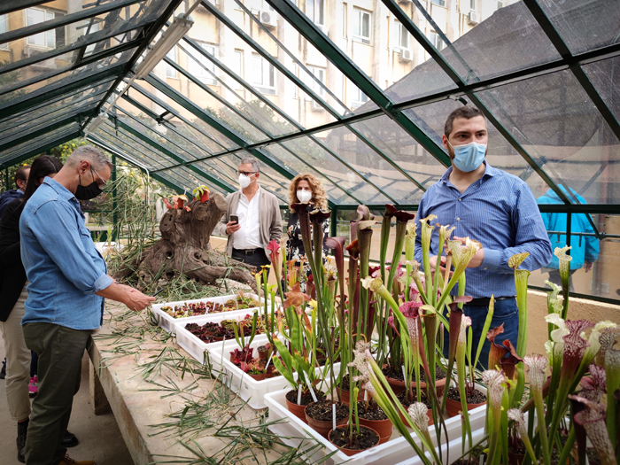 Orto botanico a Palermo