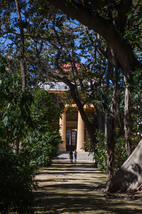 Orto botanico a Palermo