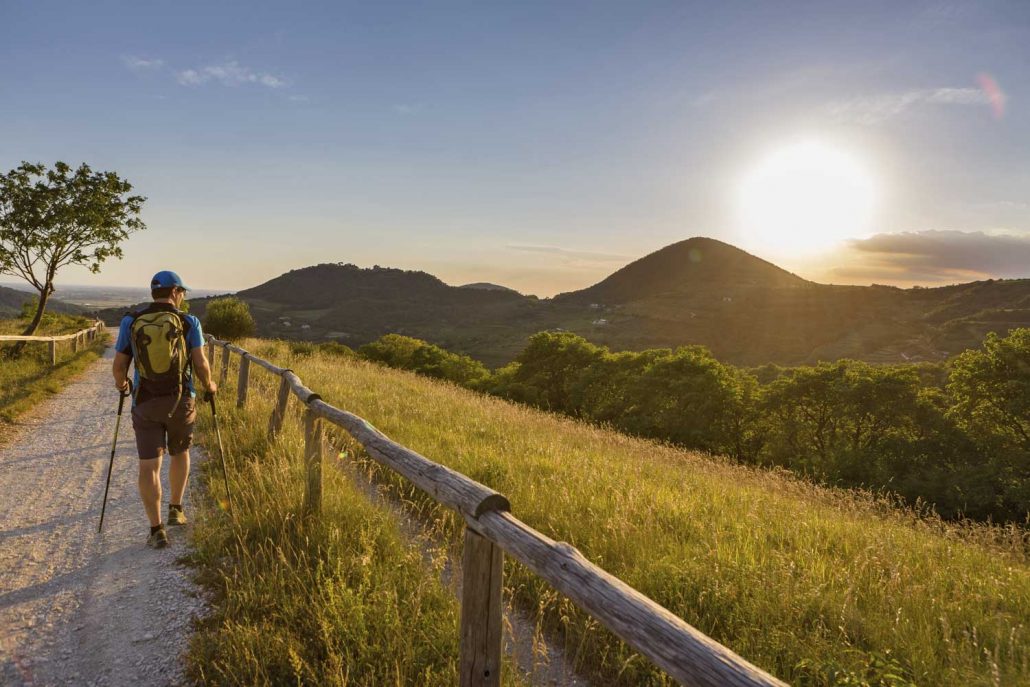 Trekking-sui-Colli-Euganei_foto@MDanesinOGD