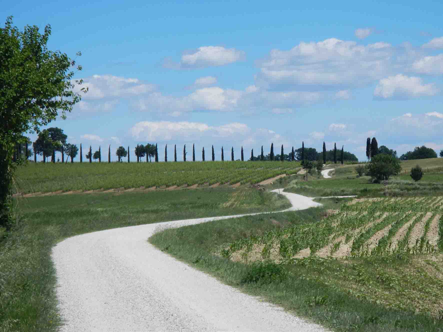 CAMMINI D'ITALIA