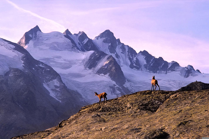 Parco Nazionale del Gran Paradiso