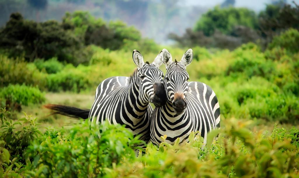 VIAGGIO IN KENYA