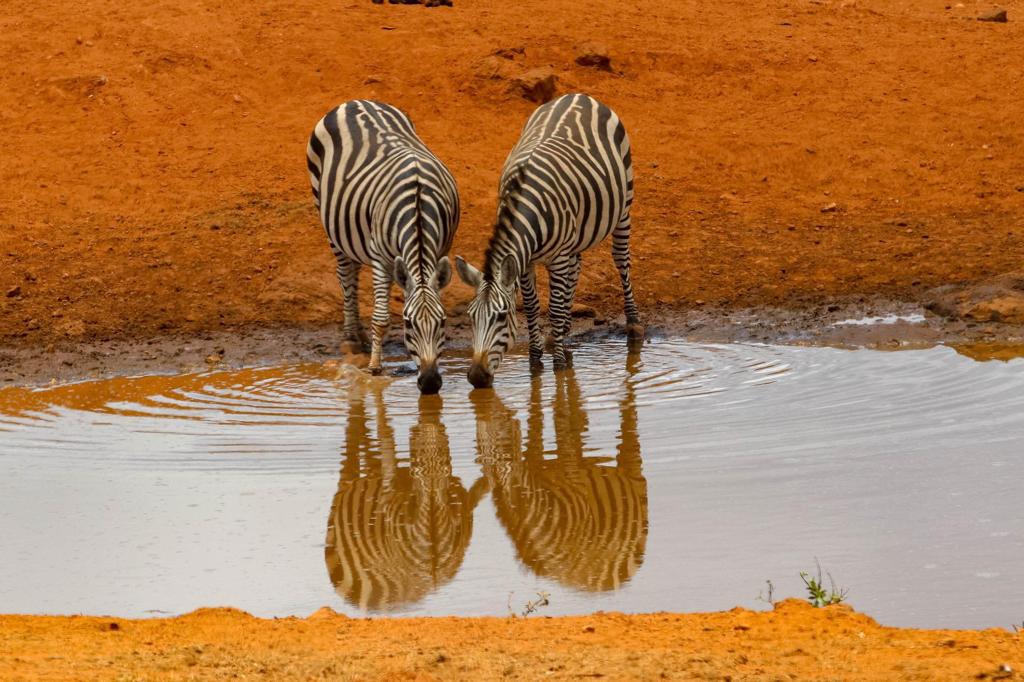 VIAGGIO IN KENYA