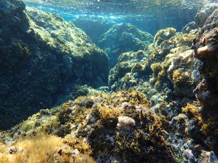 TURISMO RESPONSABILE A USTICA