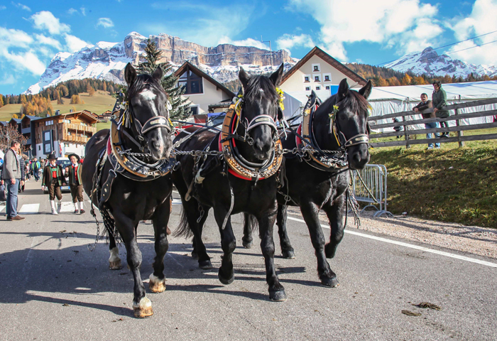 AUTUNNO IN VAL BADIA