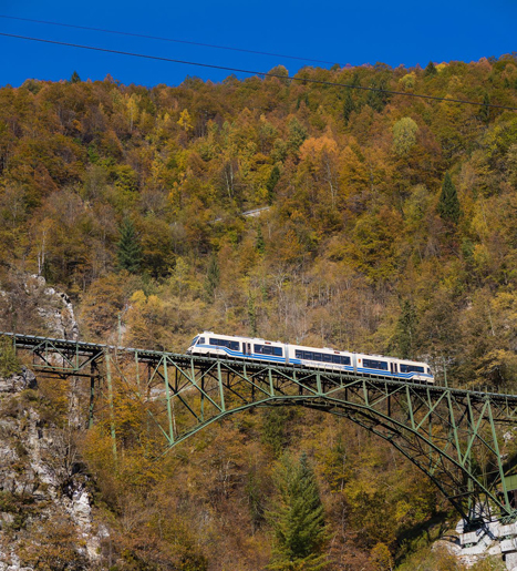 TRENO DEL FOLIAGE