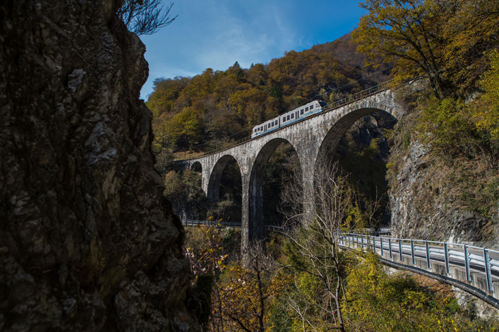 TRENO DEL FOLIAGE