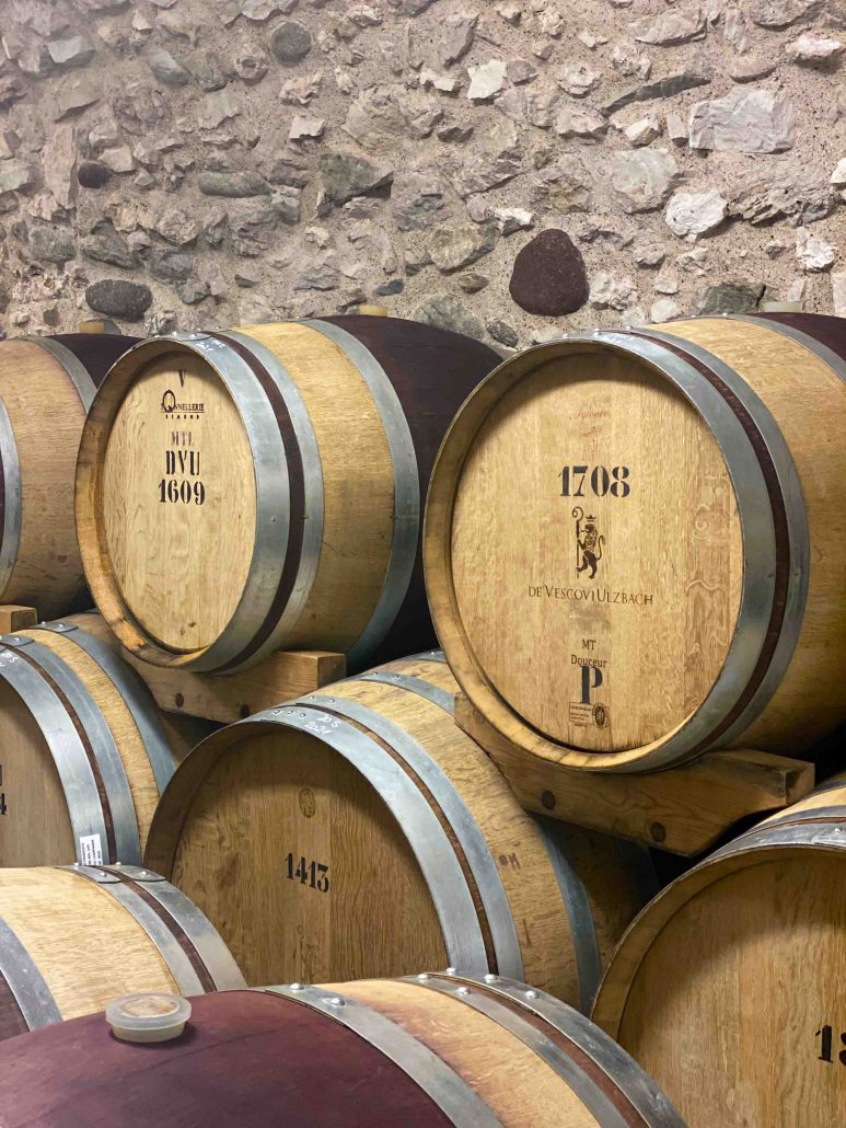 vino e sapori del Trentino