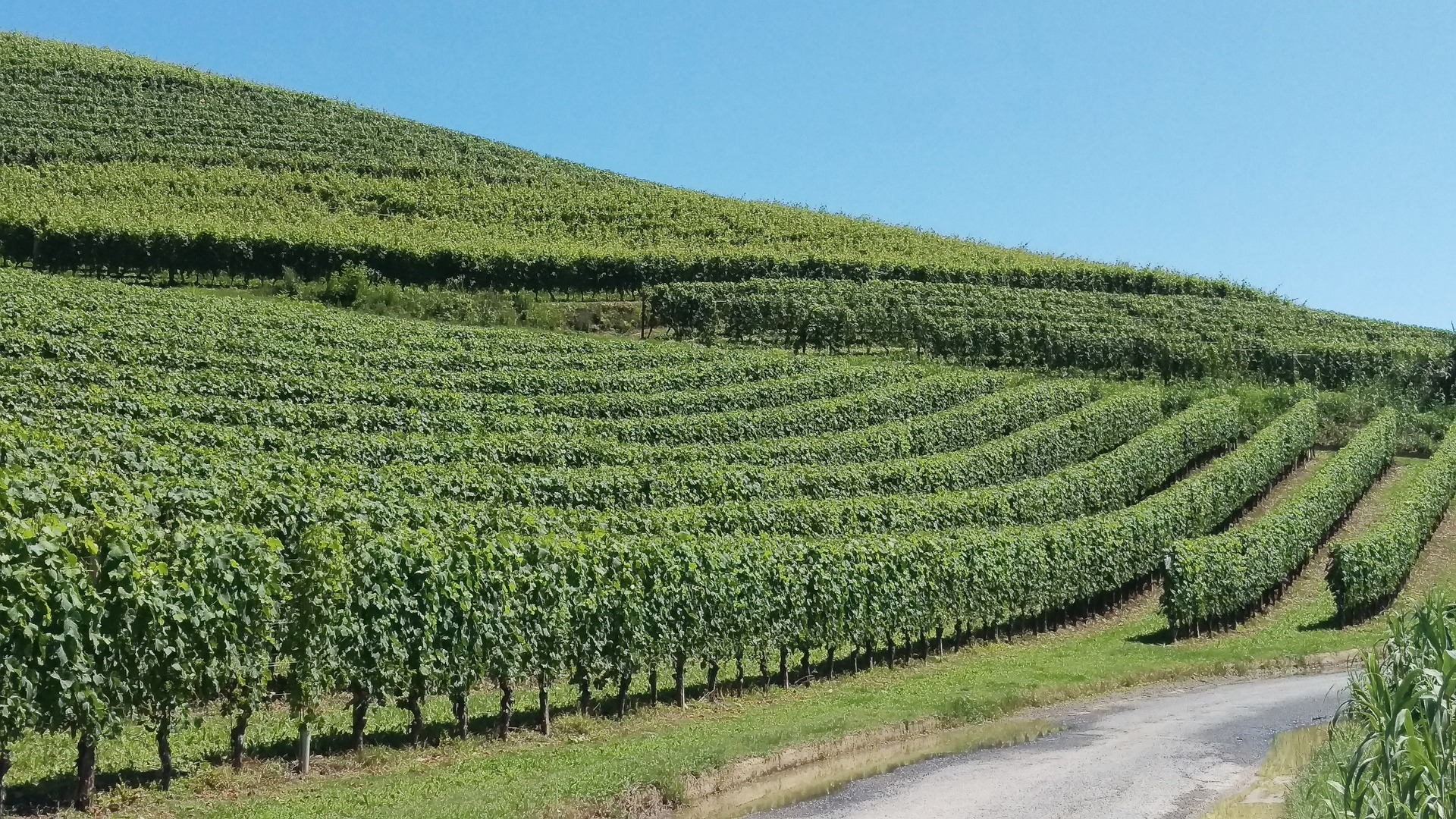 LANGHE ROERO MONFERRATO