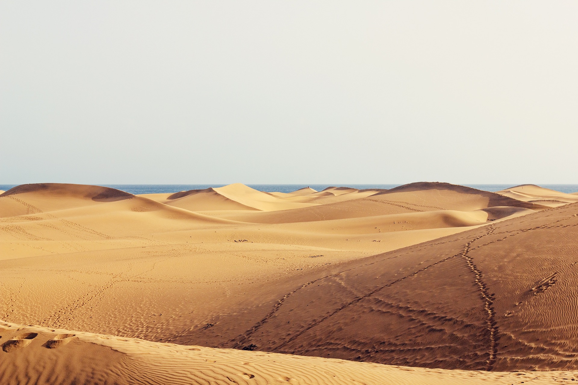 ISOLE CANARIE