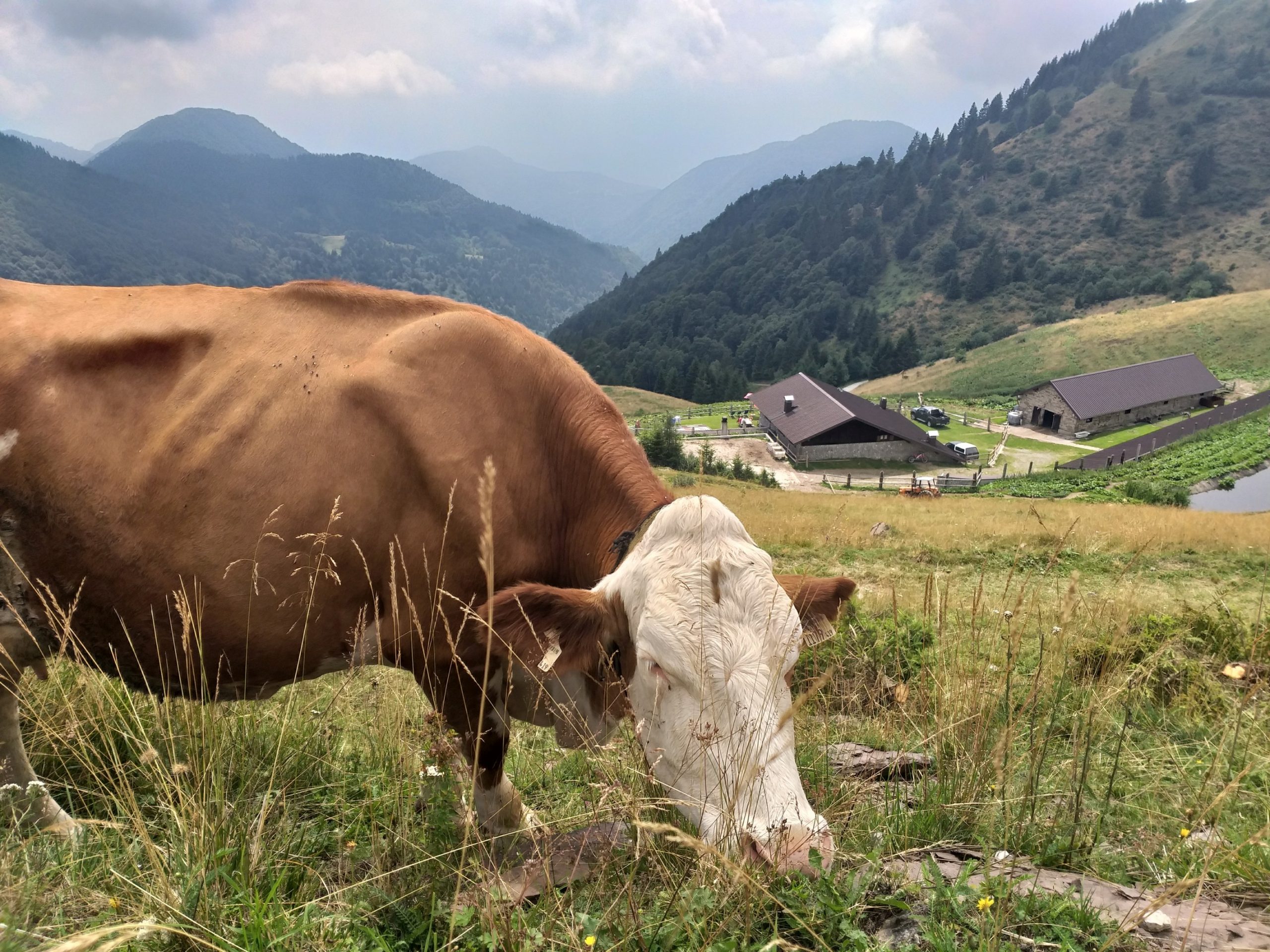 BORGHI IN FRIULI VENEZIA GIULIA