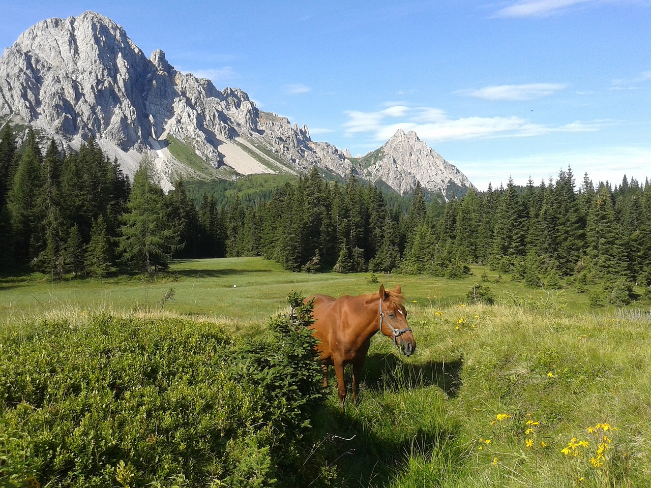 CARNIA IN FRIULI VENEZIA GIULIA