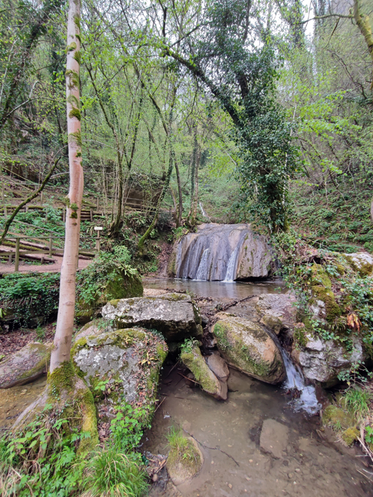 trekking e foliage