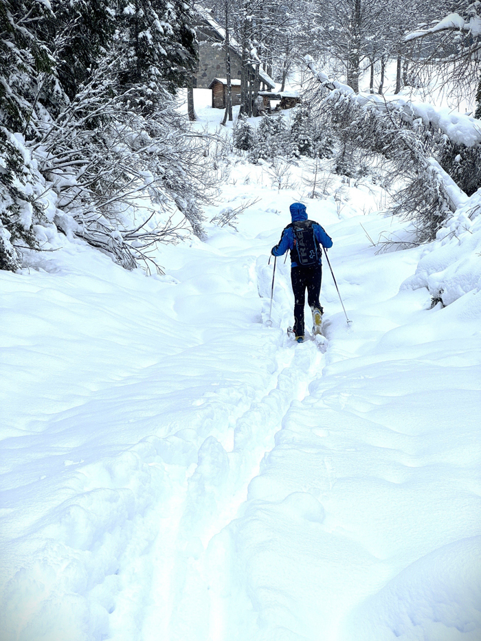 CARNIA IN INVERNO