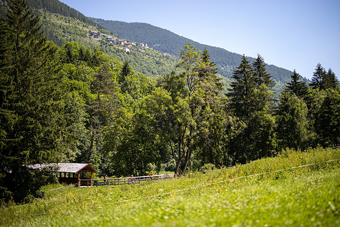 PROVINCIA DI BRESCIA