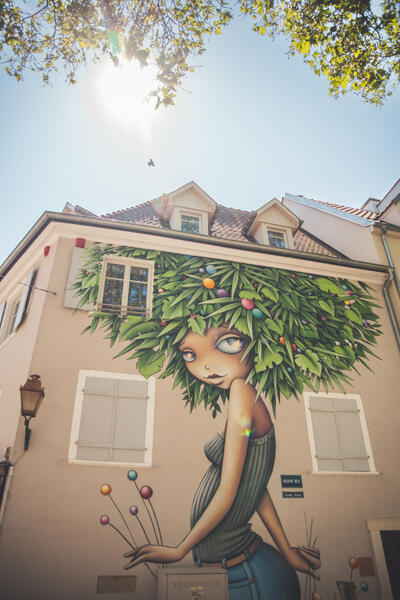 MULHOUSE ALSAZIA