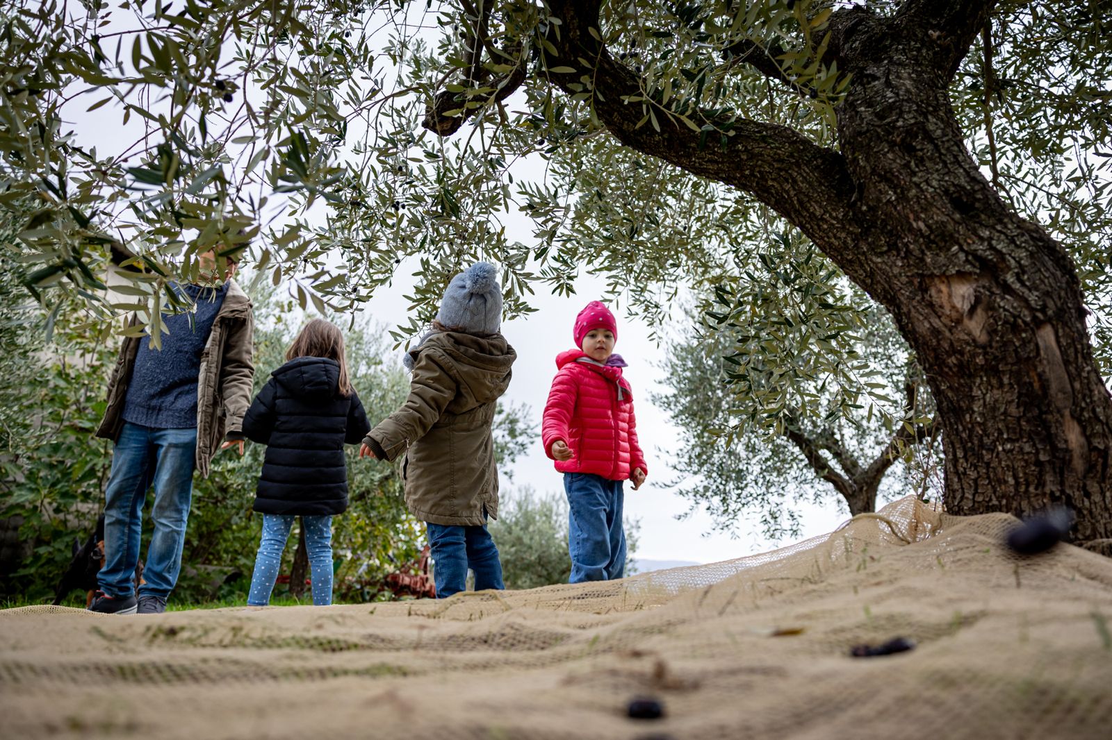 FRANTOI APERTI IN UMBRIA