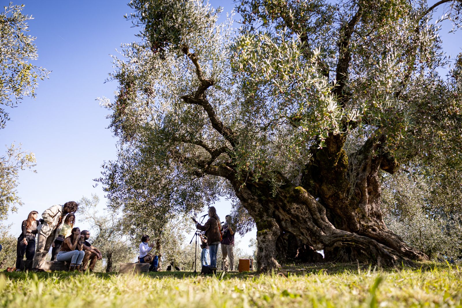 FRANTOI APERTI IN UMBRIA