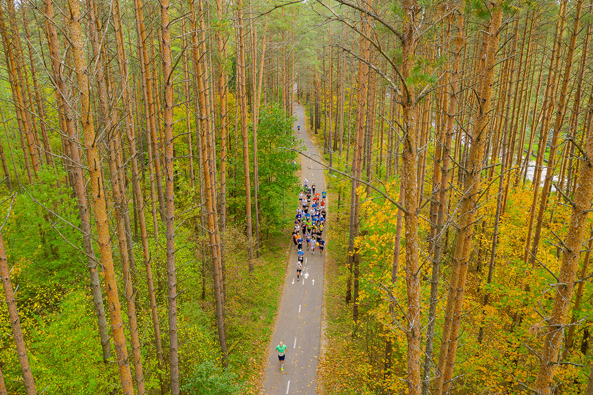 AUTUNNO IN ESTONIA