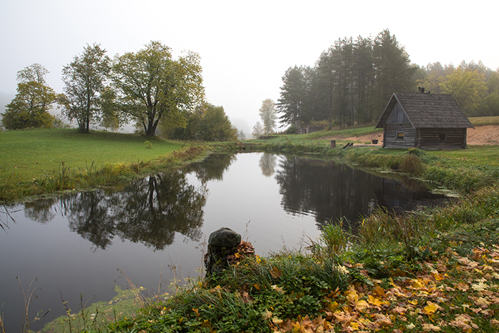 AUTUNNO IN ESTONIA