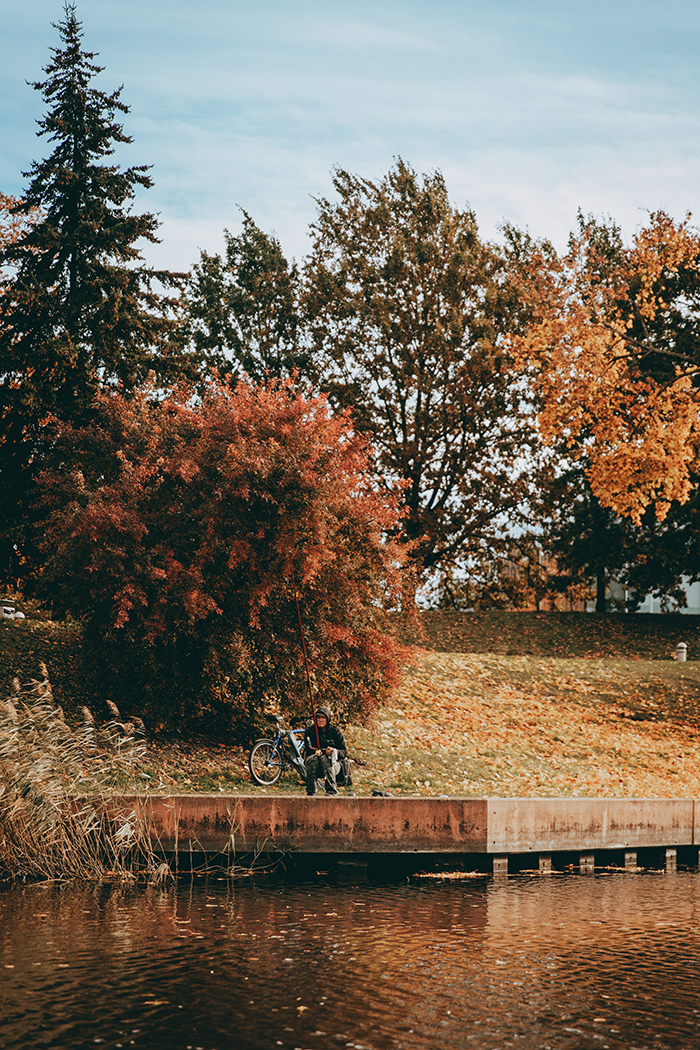 AUTUNNO IN ESTONIA