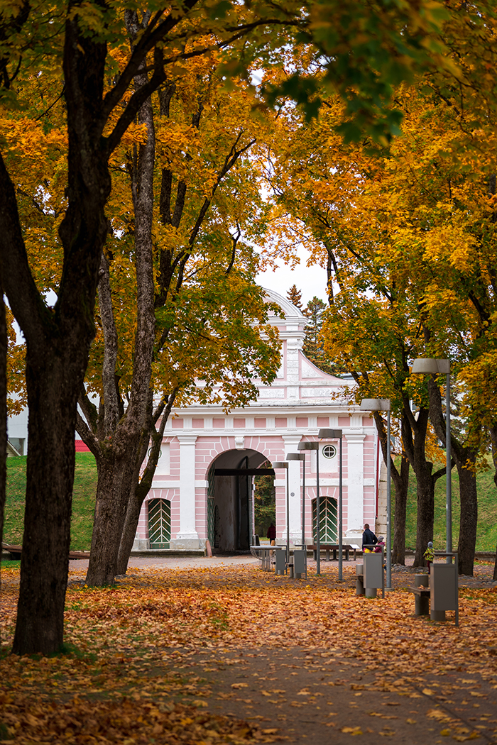 AUTUNNO IN ESTONIA