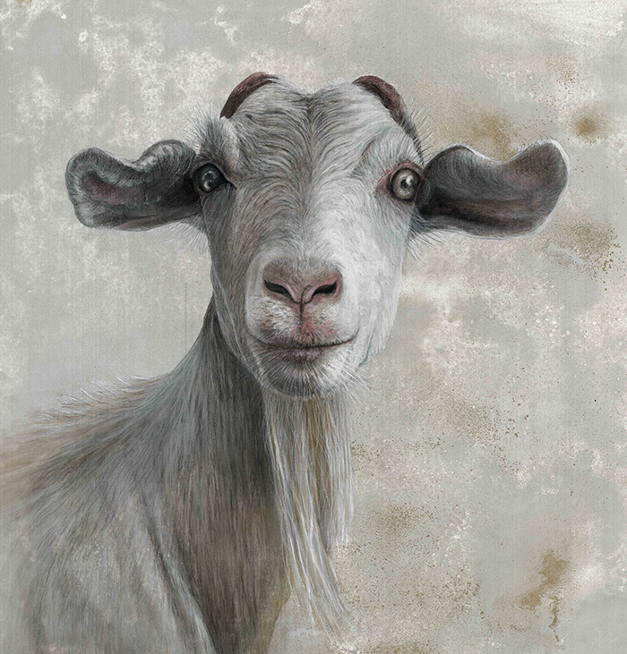 ANIMALI IN MOSTRA A MILANO