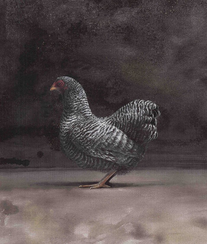 ANIMALI IN MOSTRA A MILANO