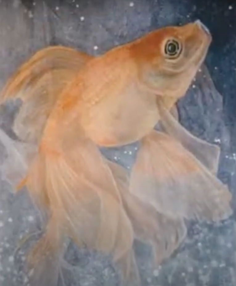 ANIMALI IN MOSTRA A MILANO