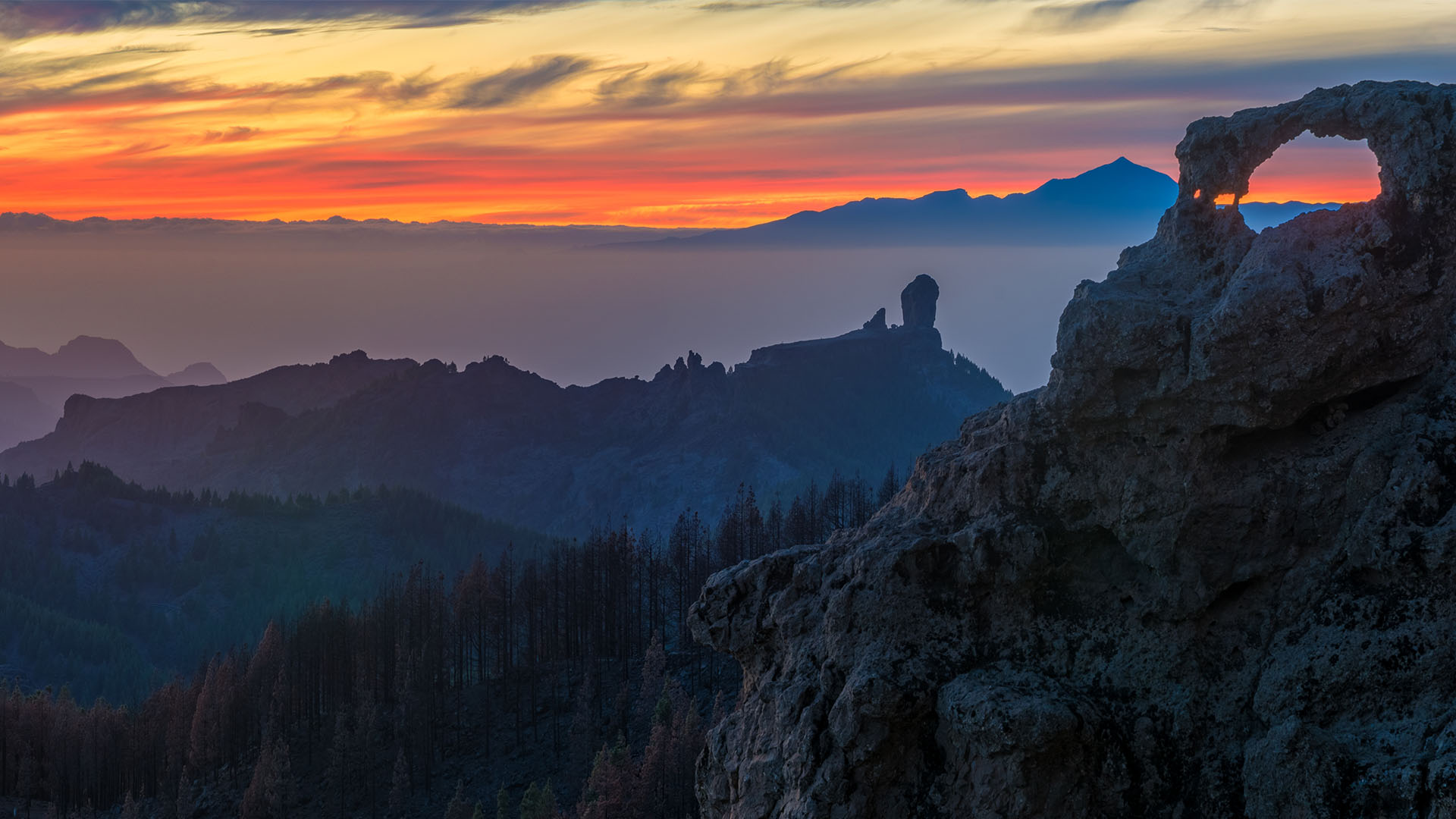 mandorlo- in- fiore- gran- canaria- luoghi- e- viaggi- il- viaggiatore- magazine