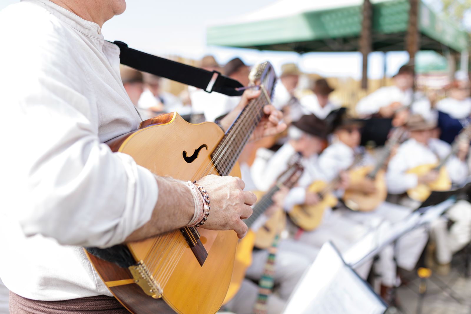 mandorlo-in-fiore-gran-canaria-luoghi-e-viaggi-il-viaggiatore-magazine-musicisti