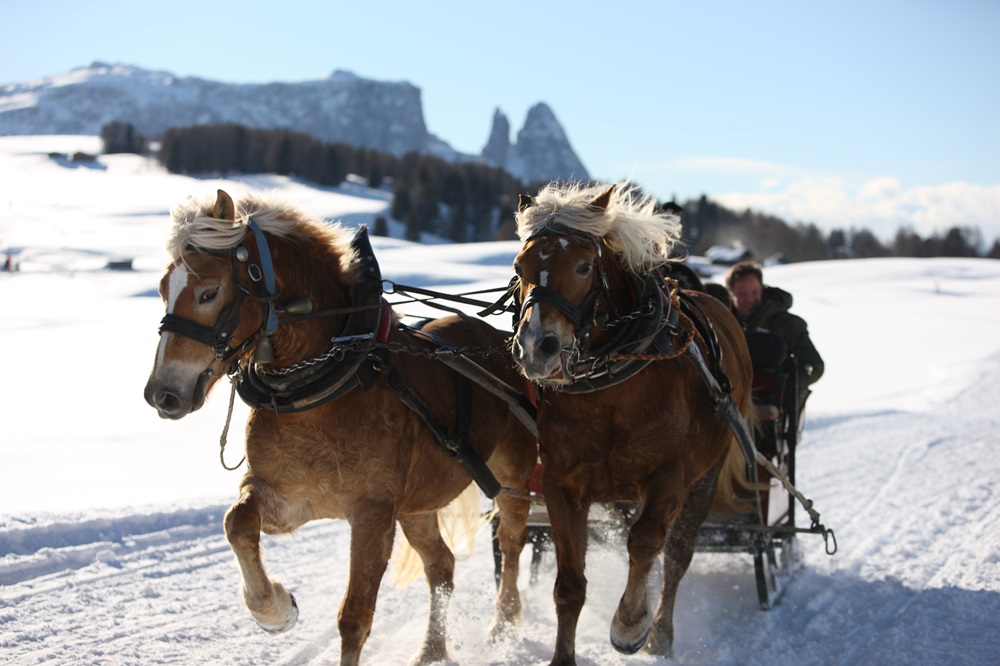 san-vigilio-di-marebbe-inverno-luoghi-e-viaggi-il-viaggiatore-magazine-slitta