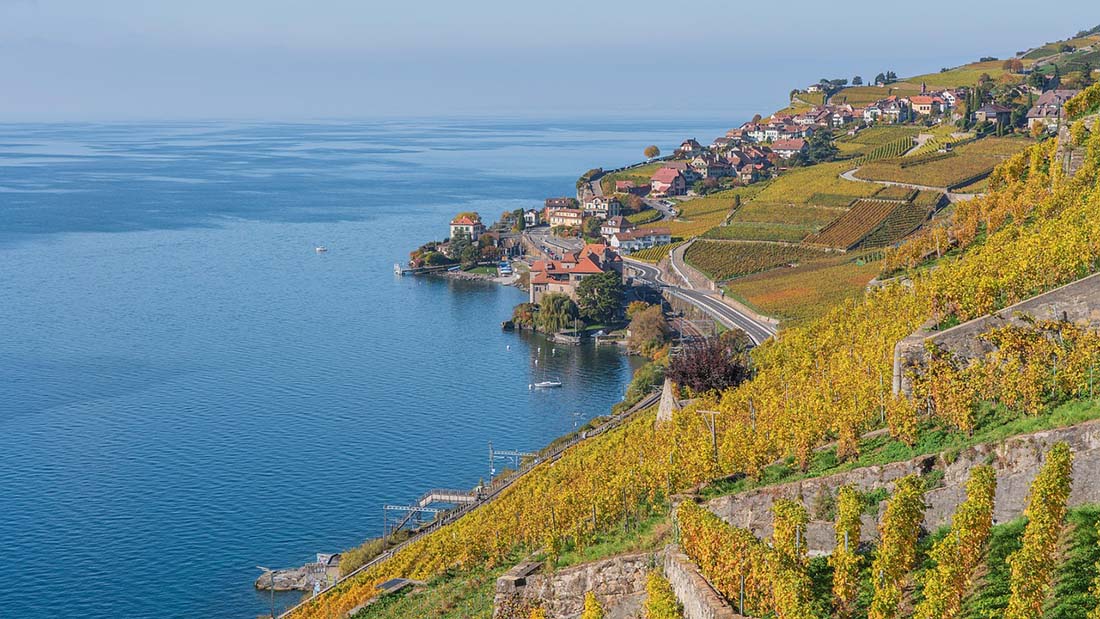 losanna-svizzera-cultura-e-appuntamenti-il-viaggiatore-magazine-vigneti