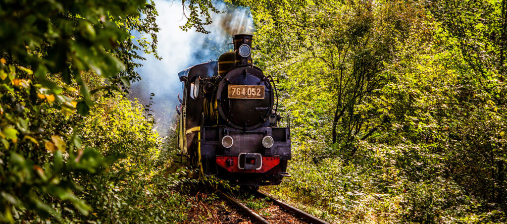 treni-storici-luoghi-e-viaggi-il-viaggiatore-magazine-copertina
