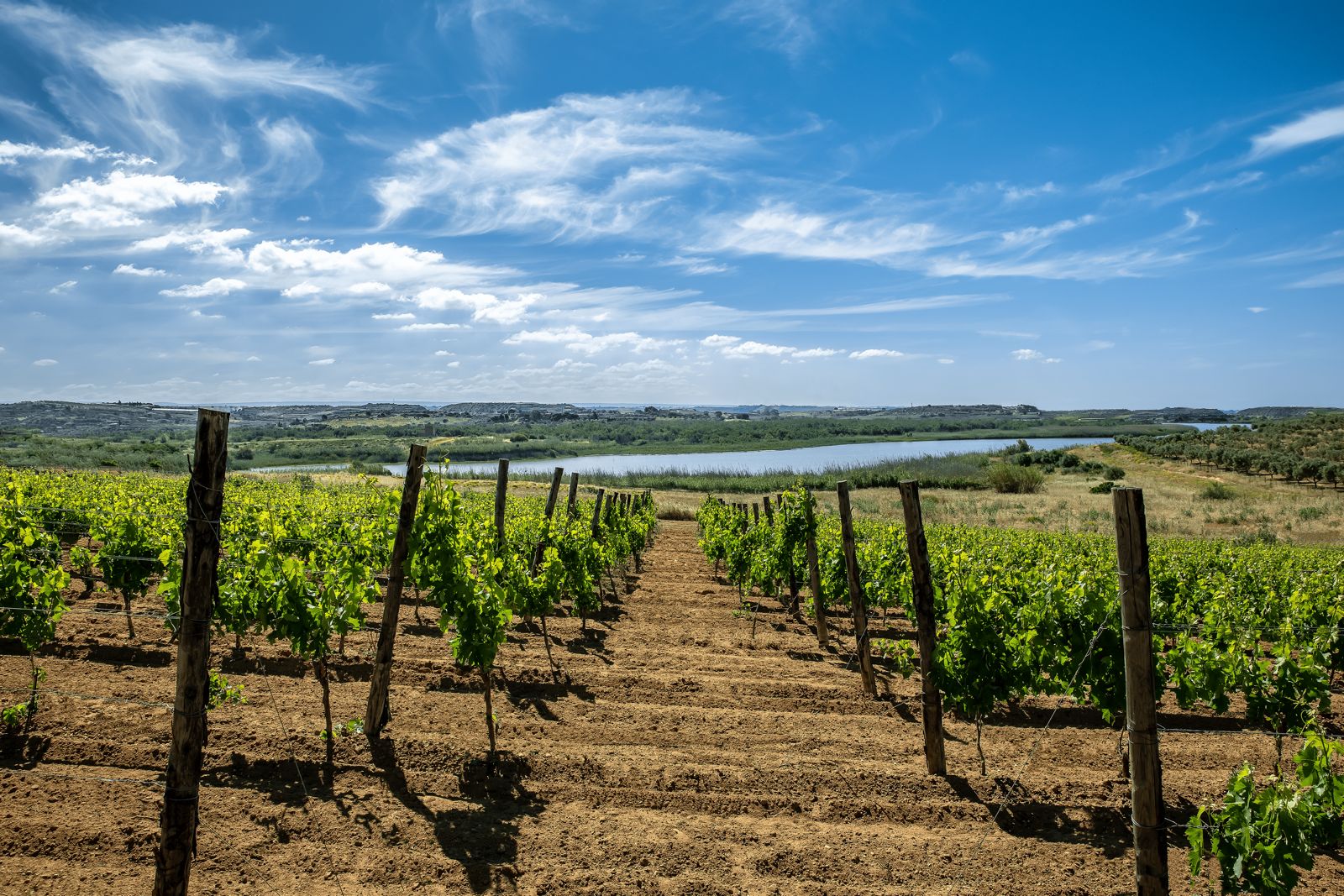gela-sicilia-luoghi-e-viaggi-il-viaggiatore-magazine-casagrazia
