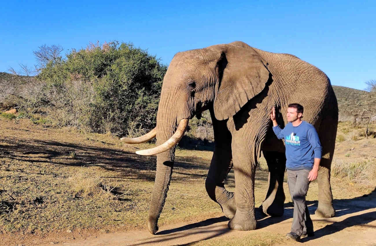 safari in africa luoghi e viaggi il viaggiatore magazine elefante