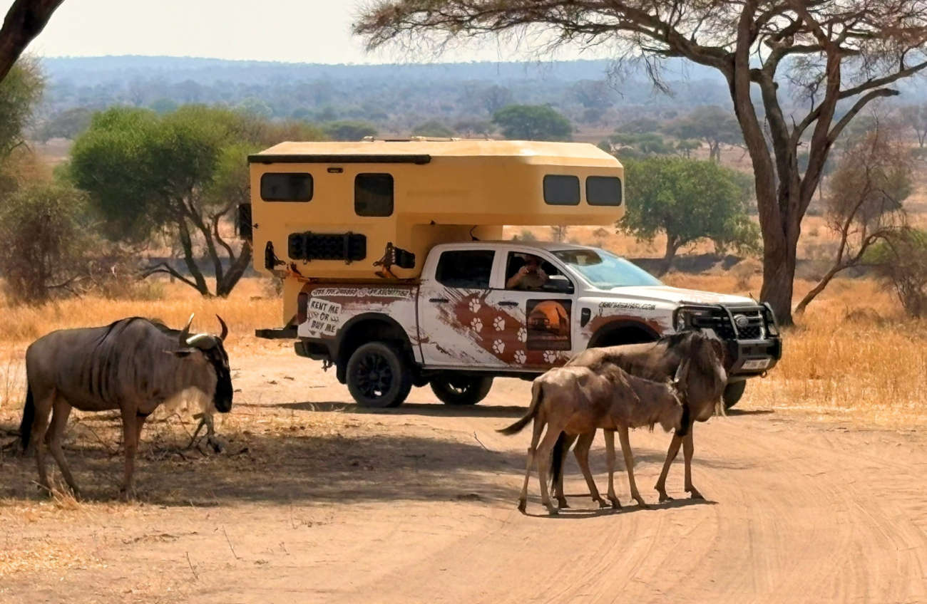 safari in africa luoghi e viaggi il viaggiatore magazine natura