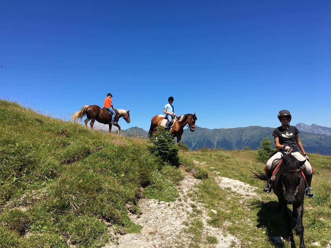 carnia-friuli-venezia-giulia-luoghi-e-viaggi-il-viaggiatore-magazine-cavalli