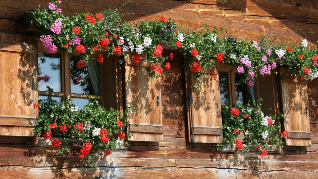 agriturismi-in-alto-adige-alberghi-e-location-il-viaggiatore-magazine-fiori