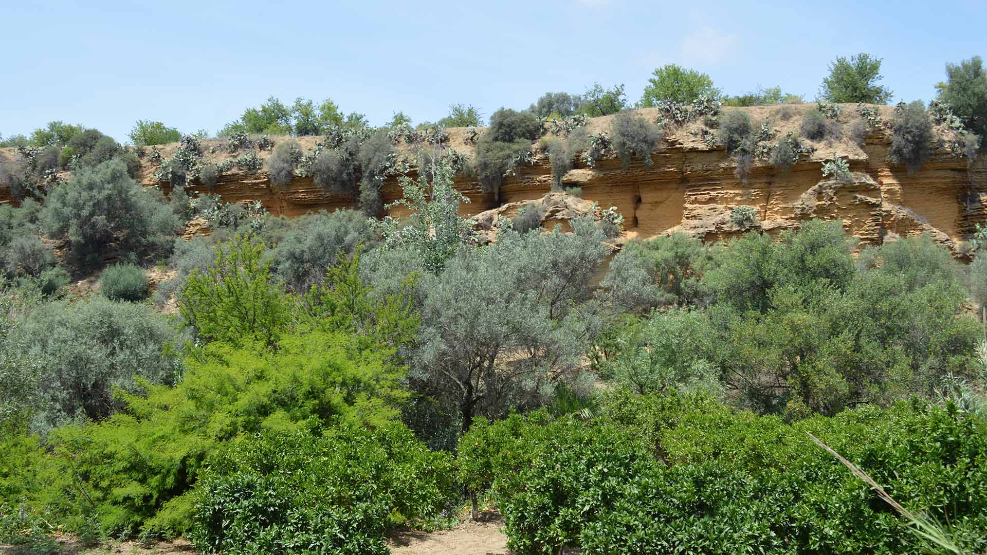 resort-in-sicilia-alberghi-&-location-il-viaggiatore-magazine-giardini