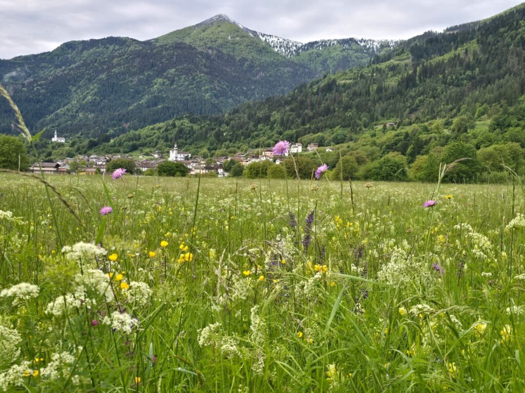 Carnia-in-friuli-venezia-giulia-luoghi-e-viaggi-il-viaggiatore-magazine-due