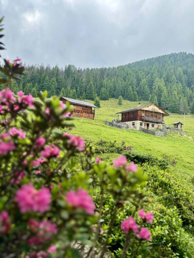 malghe-in-montagna-enogastronomia-e-dintroni-il-viaggiatore-magazine-houtte